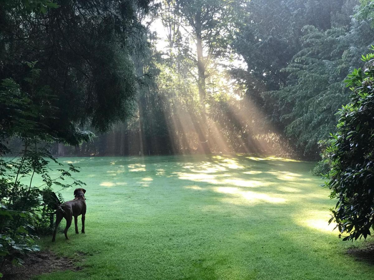 Amsterdamgarden - Stunning Garden Villa With Pool Close To Amsterdam Laren  Esterno foto